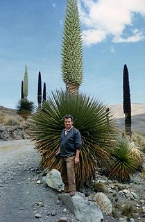 <span class="mw-page-title-main">Luigi Piacenza</span> Italian botanist