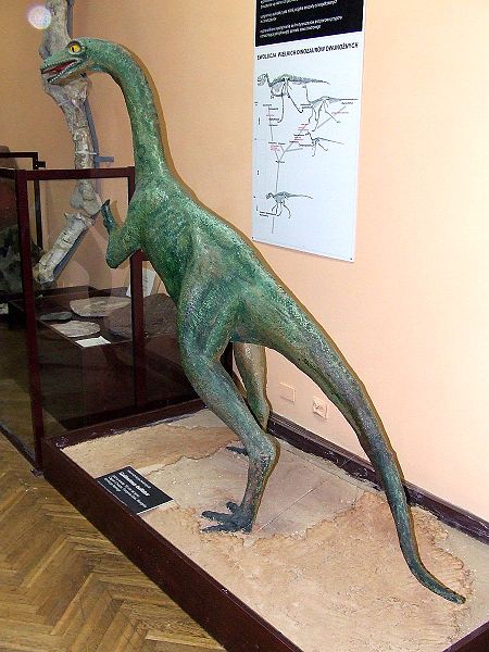 File:MEPAN Gallimimus bullatus model.jpg