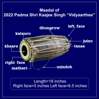 <span class="mw-page-title-main">Madal</span> Nepali folk instrument