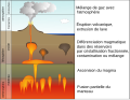 Vignette pour Volcanisme