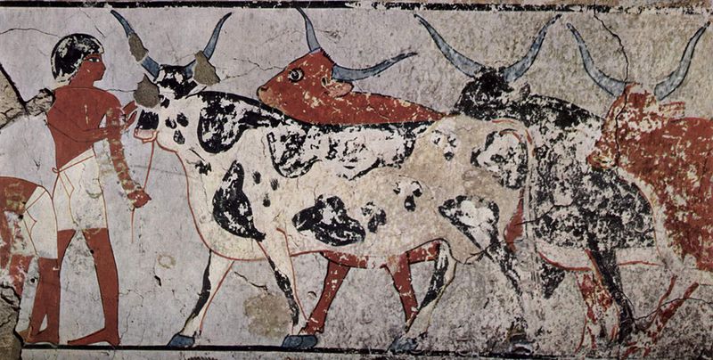 Ancient Egyptian painting of a man leading cattle.