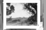 Thumbnail for File:Man sitting on the side of a dirt road. Landscape behind him, NINO F Scholten Tel Aviv 20 4.tiff