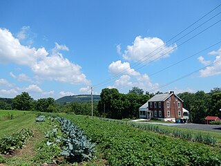 South Manheim Township, Schuylkill County, Pennsylvania Township in Pennsylvania, United States