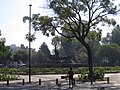 Fuente de Cibeles