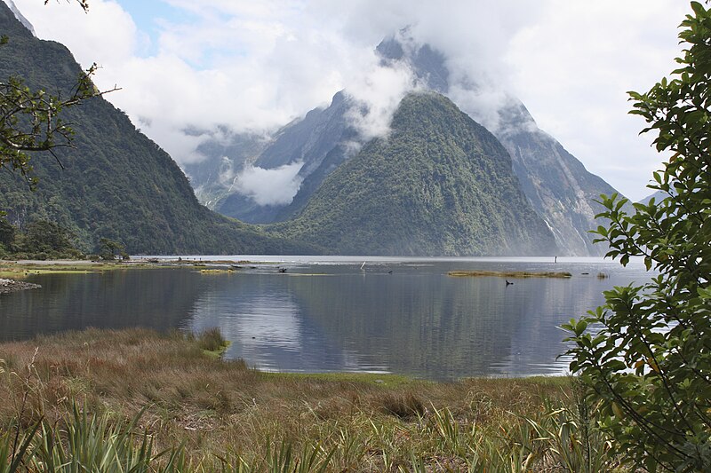 File:Milford Sound and Sinbad Gully -New Zealand-9Jan2009.jpg