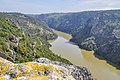 * Nomination Mirador de Freixiosa, río Duero, Tras Os Montes, Portugal.Esta é uma fotografia de um Sítio de Importância Comunitária em Portugal com o identificador:Esta é unha foto dunha Zona especial de conservación en España co ID:Eu, como posuidor dos dereitos de autor desta obra, pola presente publícoa baixo a seguinte licenza:. By User:TouchName --Beninho 09:36, 19 September 2024 (UTC) * Promotion  Support Good quality. --MB-one 14:42, 27 September 2024 (UTC)