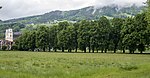 Lindenallee in Mondsee