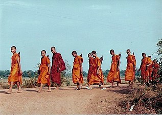 Buddhist monks in the Theravada tradition typically wear saffron robes. Although occasionally maroon, the colour normally worn by Vajrayana Buddhist monks is orange.