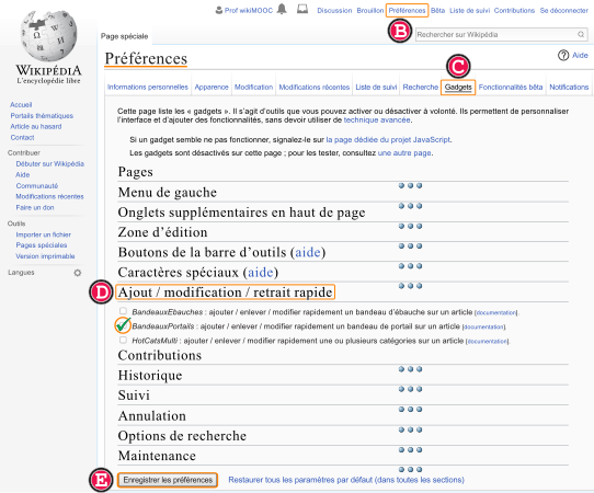 Fig. 2. Activation du gadget « BandeauxPortails » dans les préférences.