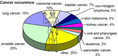 Most common cancers in males, by occurrence