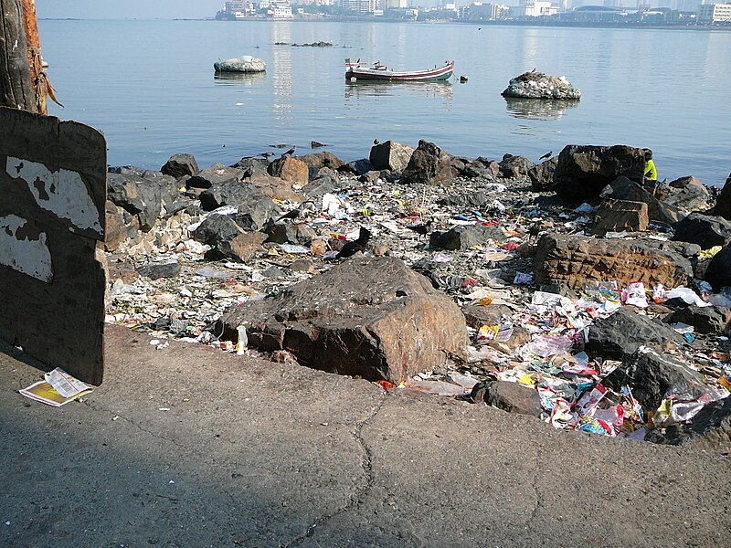 File:Mumbai environmentalproblems.JPG