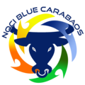 NQCI Blue Carabaos logo