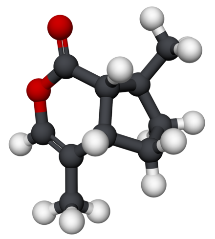 Nepetalactone-3D.png