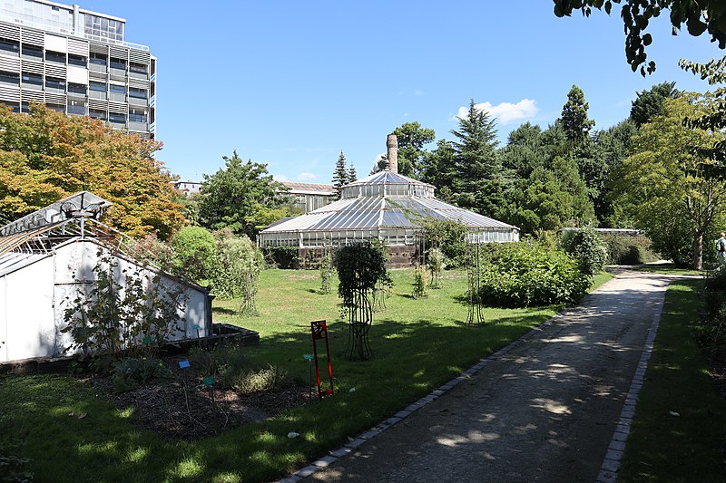 File:Neustadt Strasbourg jardin botanique de Strasbourg (42474162520).jpg