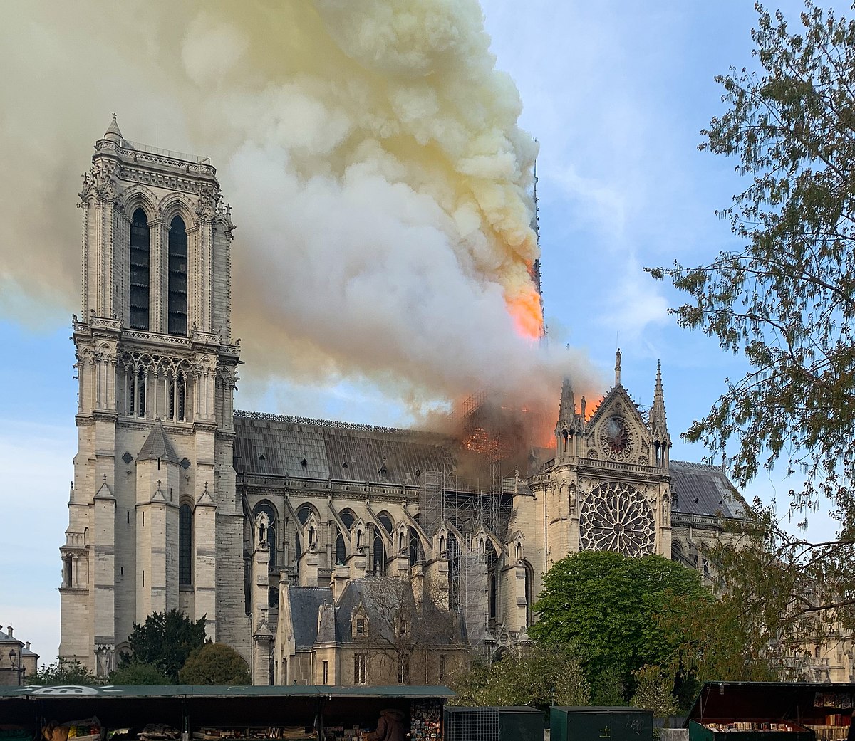 Notre Dame De Paris Fire Wikipedia consoling mickey hart after an embarrasing play there's a bunch of cameras out there right now waiting to make a joke of this, mick. notre dame de paris fire wikipedia