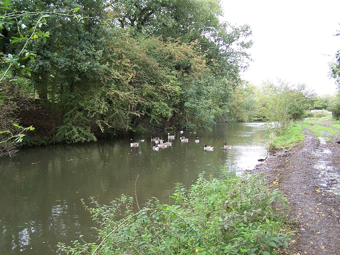 Nutbrook Canal