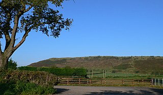 <span class="mw-page-title-main">Oswestry Uplands</span>