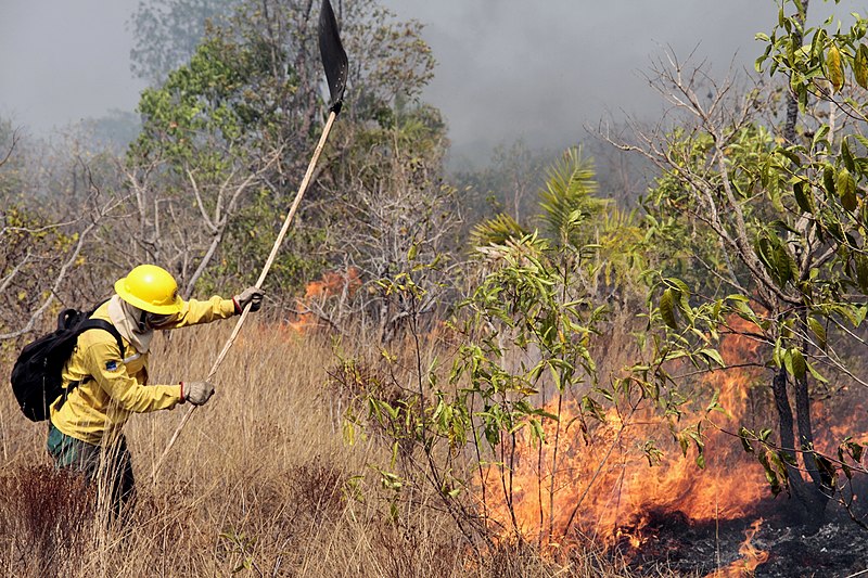 File:Operação Kuarup, Agosto-2016 (29400316141).jpg