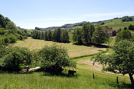 Osterbach Tal bei Ober Ostern (Reichelsheim)