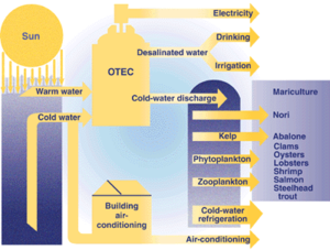 Otec produkty-2 (English).png