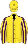 Yellow, purple seams, striped sleeves, yellow cap