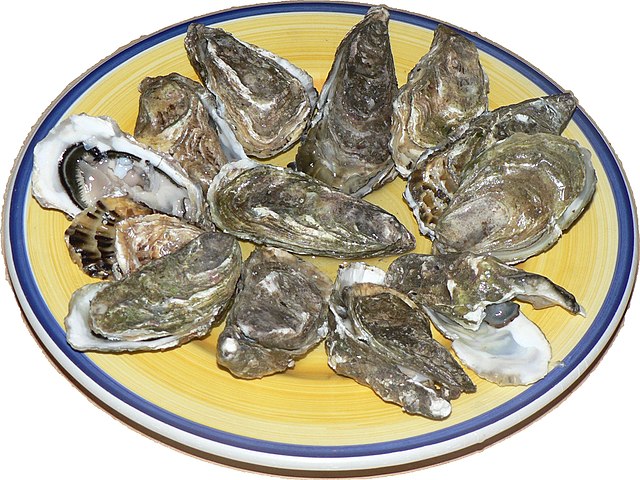 Raw oysters opened and presented on a plate