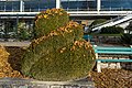 * Nomination Bench, buxus sempervirens and flower-bed on the autumnal Johannes-Brahms-Promenade in front of the Parkhotel, Pörtschach, Carinthia, Austria -- Johann Jaritz 03:44, 26 November 2021 (UTC) * Promotion  Support Good quality. --XRay 04:55, 26 November 2021 (UTC)