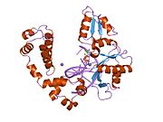 PDB 9icg EBI.jpg