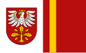 Districtul Dąbrowa - Steag