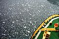 Gheață lenticulară în Marea Ross.