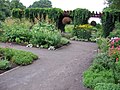 Walkway covered in vines in the Shrub Garden.