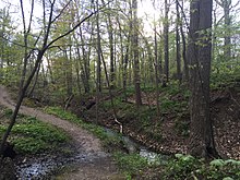 The main trail of Ravine Park Pathway in Ravine Park, Lake Bluff.jpg