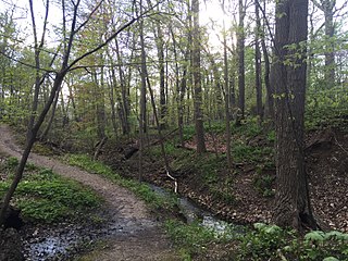 Ravine Park Community park located in Lake Bluff, Illinois, USA