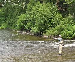 1920S 1930S JEUNE HOMME D'ÂGE MOYEN SPORTSMAN PÊCHE À LA MOUCHE DE LA RIVE  DE LA RIVIÈRE DE PRINTEMPS MAIS PORTANT DES WADERS EN CAOUTCHOUC - A2786C  HAR001HARS NATURE COPIE ESPACE PLEINE