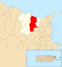 Location of Pitahaya within the municipality of Luquillo shown in red