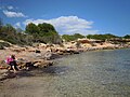 The rocky shoreline of Platja S'Estanyol