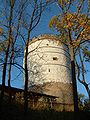 the round tower of the castle