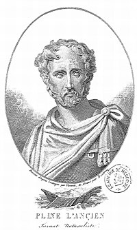Gaius Plinius Secundus