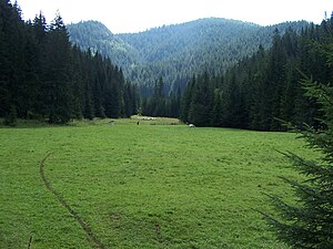 View from the Polana Huciska mountain pasture