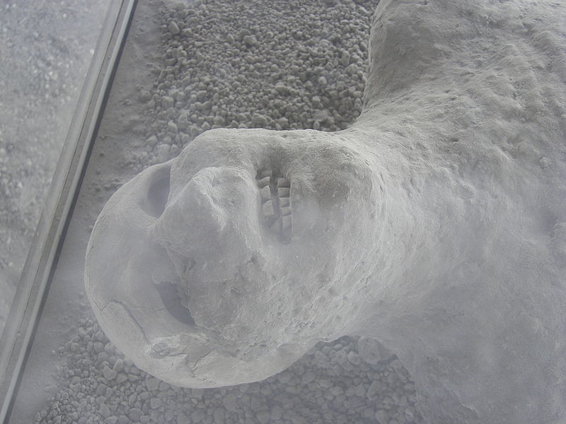 File:Pompeii macellum cast closeup.jpg