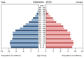 English: The population pyramid of Indonesia illustrates the age and sex structure of population and may provide insights about political and social stability, as well as economic development. The population is distributed along the horizontal axis, with males shown on the left and females on the right. The male and female populations are broken down into 5-year age groups represented as horizontal bars along the vertical axis, with the youngest age groups at the bottom and the oldest at the top. The shape of the population pyramid gradually evolves over time based on fertility, mortality, and international migration trends. Українська: Віково-статева піраміда населення Індонезії за 2013 рік. Вона дає наочне уявлення про вікову і статеву структура населення країни, може слугувати джерелом інформації про політичну і соціальну стабільність, економічний розвиток. Блакитними кольорами ліворуч, у вигляді горизонтальних смуг показані вікові групи (з кроком 5 років кожна) чоловічої статі, праворуч рожевими — жіночої. Наймолодші вікові групи — внизу, найстаріші — вгорі. Форма піраміди поступово еволюціонує з плином часу під впливом чинників народжуваності, смертності і світової міграції.