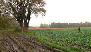 Location of the Posteburg in a field, on the left an information board set up for the castle
