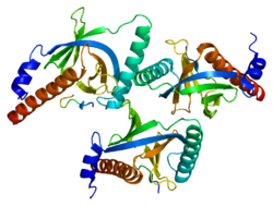 Ақуыз DAB2 PDB 1m7e.png
