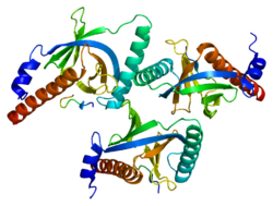 Белок DAB2 PDB 1m7e.png