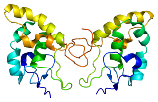 <span class="mw-page-title-main">Frizzled-8</span> Protein-coding gene in the species Homo sapiens