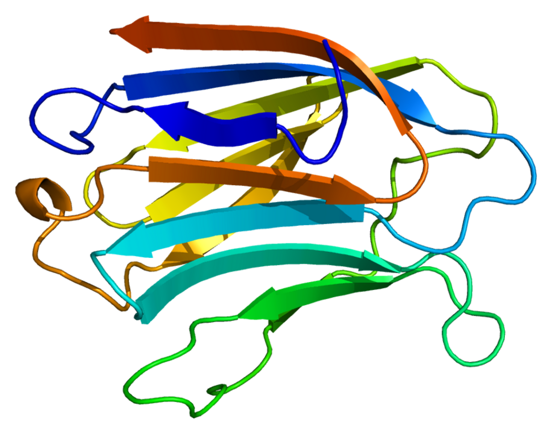 Galectin-3