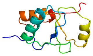 DNA repair protein XRCC1, also known as X-ray repair cross-complementing protein 1, is a protein that in humans is encoded by the XRCC1 gene. XRCC1 is involved in DNA repair, where it complexes with DNA ligase III.