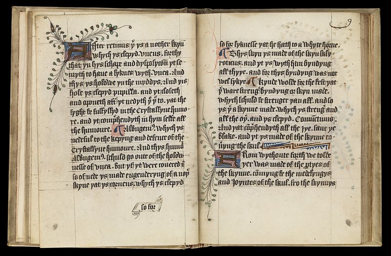 File:Pseudo-Galen, Claudius, 131-201 (MS.290) Wellcome L0073864.jpg