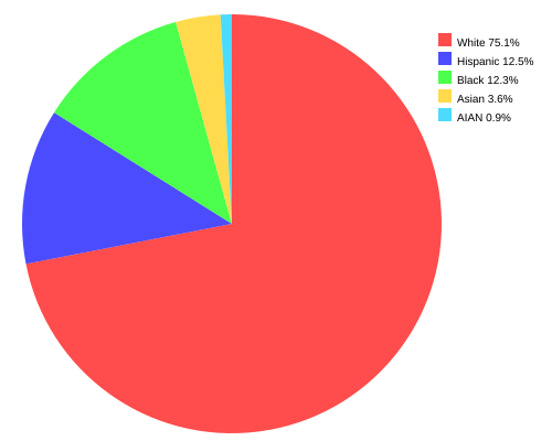 File:Race in America.svg