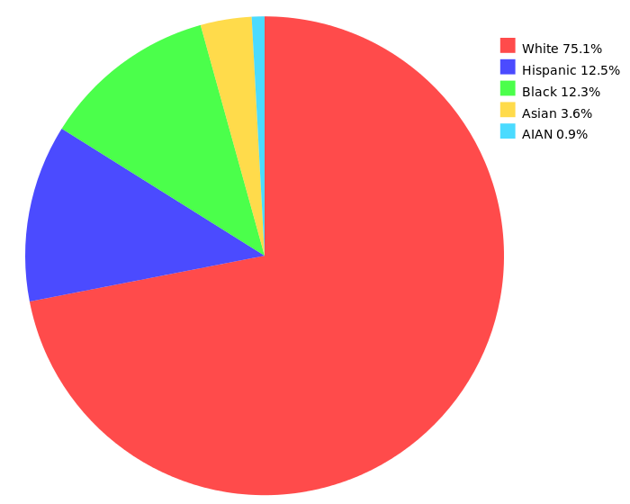 Ethnicity according to the 2000 US Census.[18]